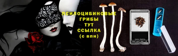 ECSTASY Алексеевка