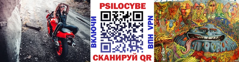 Галлюциногенные грибы Psilocybine cubensis  блэк спрут ссылка  Завитинск 